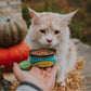 3oz Earthborn Monterey Medley Canned Cat & Kitten Food (Skipjack Tuna & Grilled Mackerel)