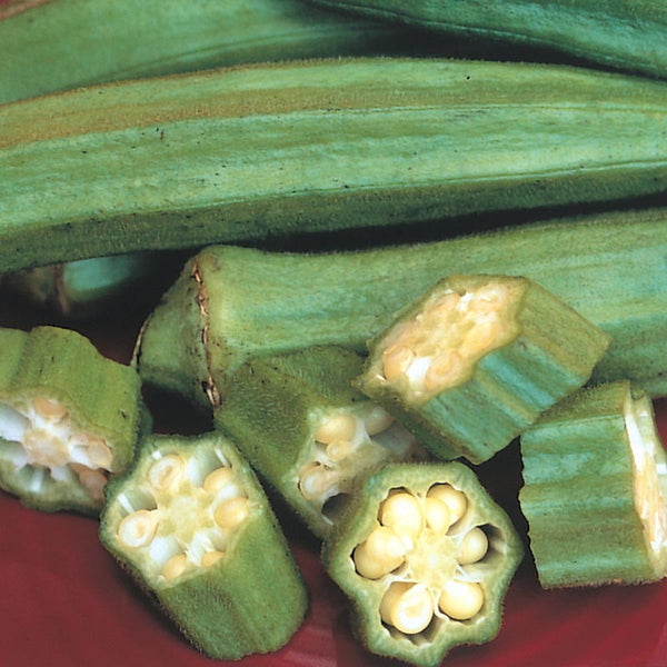 Clemson Spineless Okra Garden Seeds