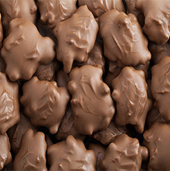 5Lb PURE MILK CHOCOLATE PECAN CARAMEL PATTIES