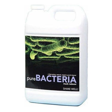 1 Gallon Organic Pond - Pure Bacteria