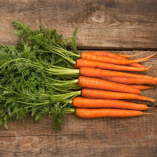 Scarlet Nantes Carrot Garden Seeds