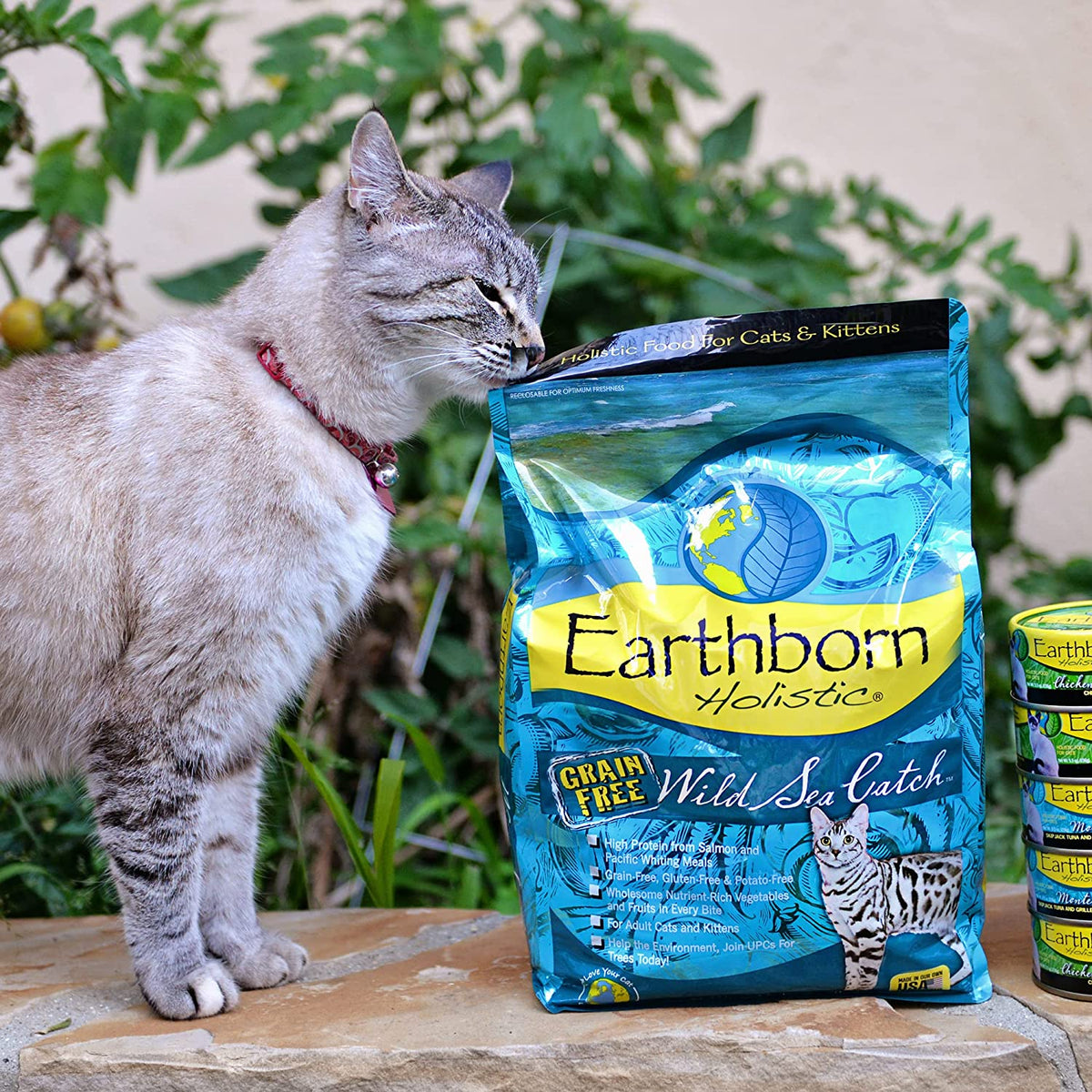 12.5 Lb Earthborn Holistic Wild Sea Catch Grain-Free Natural Dry Cat & Kitten Food